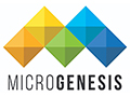 Microgenesis Techsoft