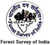 FSI
