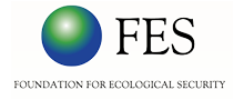 FES