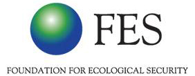 FES