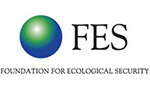 FES