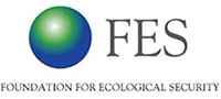 FES