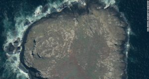 WorldView-3 Satellite imagery used to monitor birds