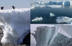 Greenland is melting