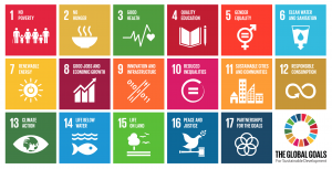 Geospatial for Sustainable Development Goals