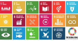 Geospatial for Sustainable Development Goals