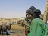 Satellite services help African shepherds through Sahel
