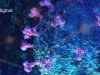 DATA against COVID-19 DeepHack looks for data-driven solutions to manage epidemic and pandemic lifecycles