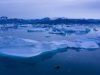 Sea level rise up to four times global average for coastal communities