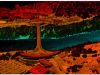 AXIS GeoSpatial LLC Awarded $16 Million IDIQ Photogrammetric and LiDAR Surveying and Mapping Contract to support US Army Corp of Engineers St. Louis