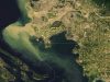Five open satellite imagery data sources