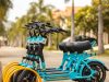 Yulu Bikes