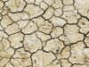 Drought
