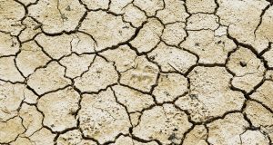 Drought