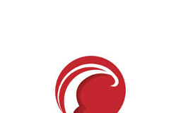 Precisionhawk logo