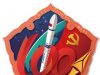Mission Patch, CASC