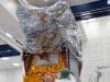 Sentinel-2C-ready-for-packing-Copyright-Airbus