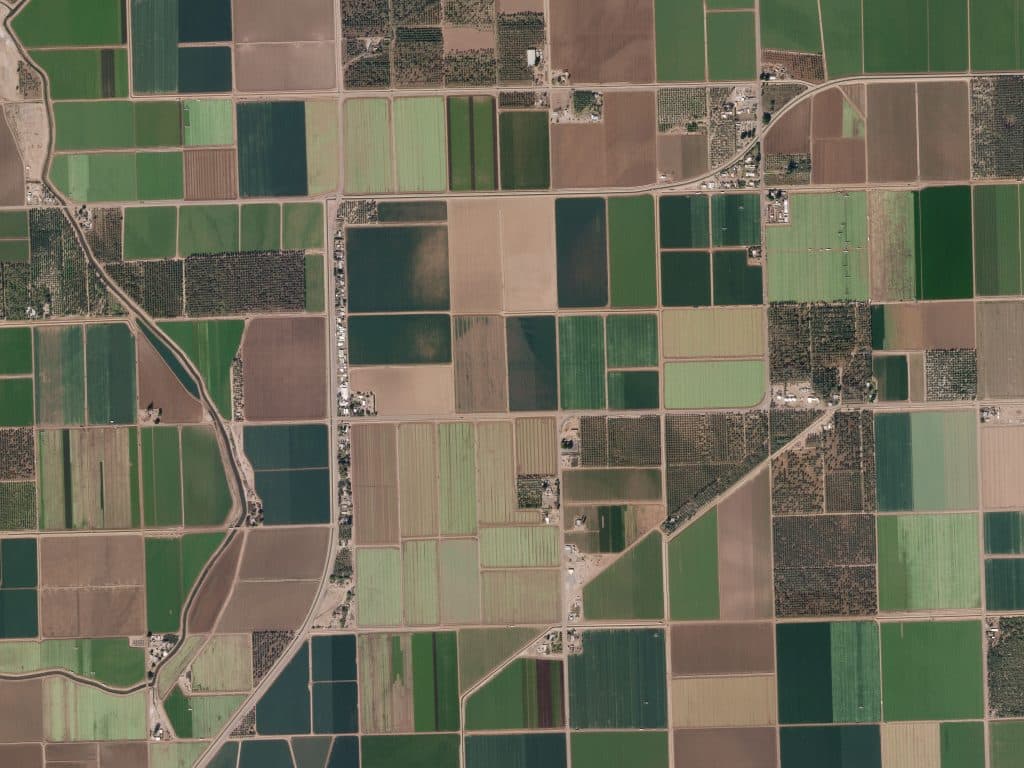 Planet and Leaf Join Hands to Provide Agro Insights