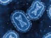 monkeypox outbreak