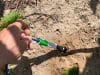 Climate smart agriculture