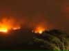 Goa is Burning: Centre says eco loss minimal