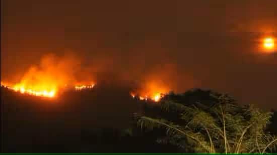 Goa is Burning: Centre says eco loss minimal