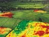 Applications of Remote Sensing in Precision Farming