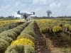 Chia Network and SpaceKnow Collaborate to Secure Spatial Data
