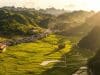 EY launches EY OpsChain ESG, to provide a platform for emissions