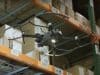 Gather AI acquires Ware, an Autonomous Inventory Management Solution Provider