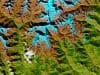 IBM, NASA Launch Open Source Geospatial AI Foundation Model