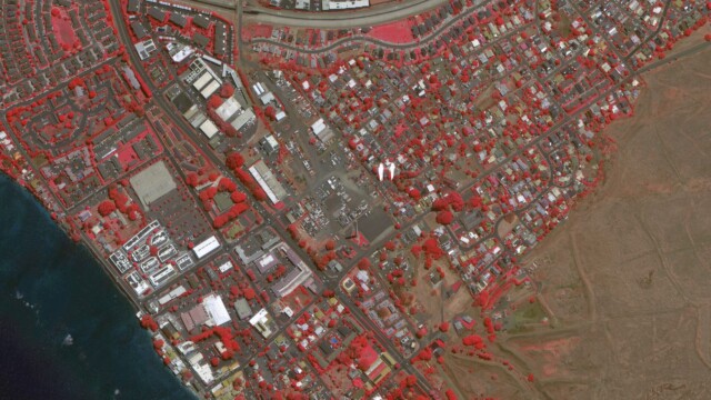 Lahaina Square and Outlets (False Color)